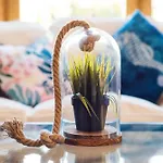 Casa vacanze Place Playamar *